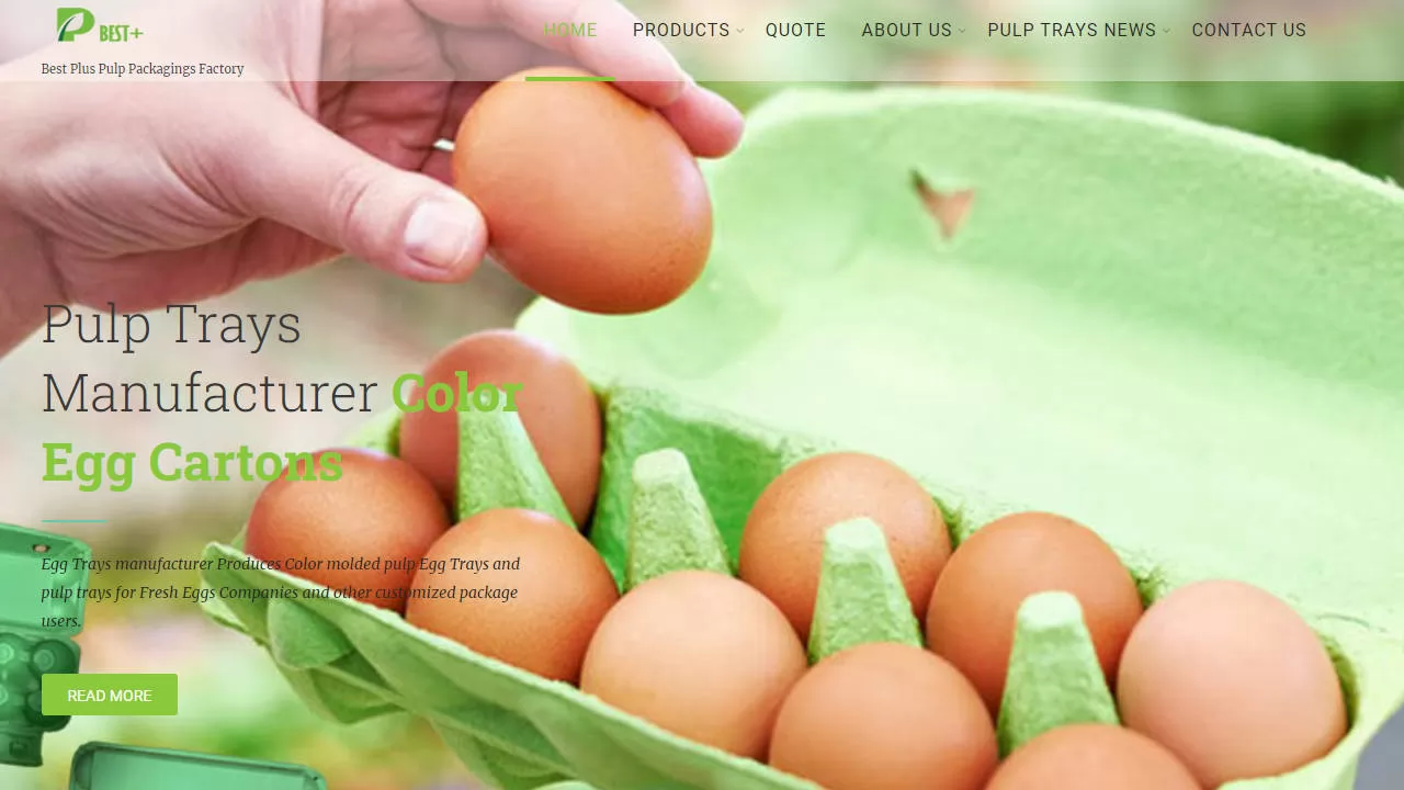 Seed Starter Egg Carton Manufacturers in China